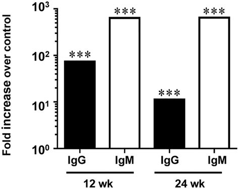 Chronic Oral Infection With F Nucleatum Induced Significant Levels Of