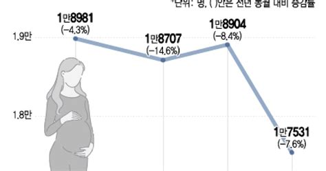 49개월째 쪼그라드는 인구11월 출생아수 17만명 역대 최저