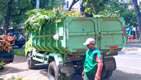 Pohon Di Sekitar Gedung Sekretariat Asean Sudah Dipangkas Online