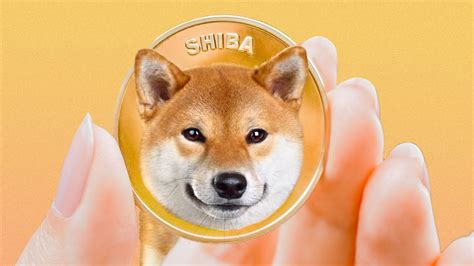 Why Shiba Inu SHIB Rallied 266 Following Biggest Dump In Its History