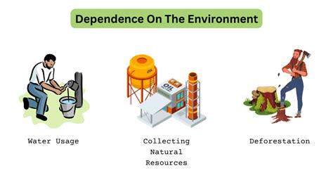 Human Environment Interaction Our Impacts Explained Greencitizen