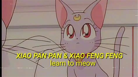 Xiao Pan Pan And Xiao Feng Feng Learn To Meow Sub Español Youtube