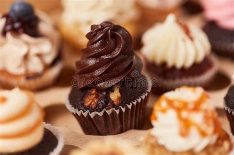 Cupcake Com Chocolate E Noz Entre Cupcakes Foto De Stock Imagem De