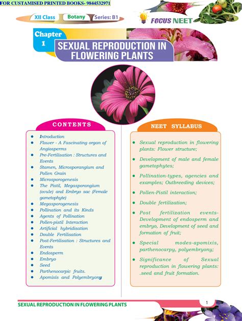 Solution Botany 2024 Studypool