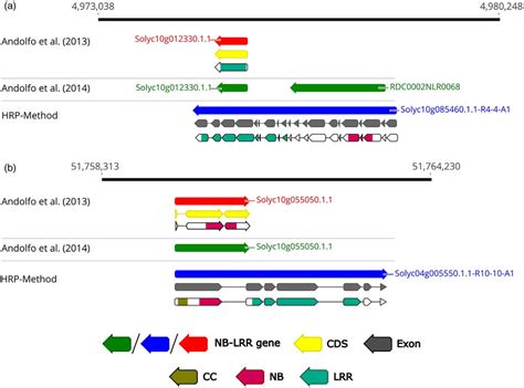 Re Annotation Of Two Erroneously Annotated NB LRR Genes Located On