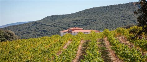 Vinos de España denominaciones de origen