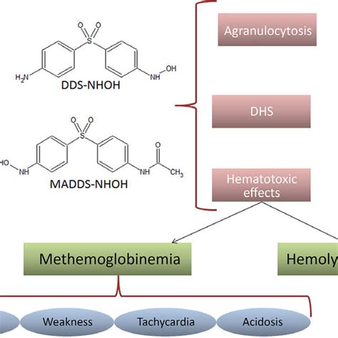 Antimicrobial Mechanism Of Dapsone DDS 4 4 Diamino Diphenylsulfone