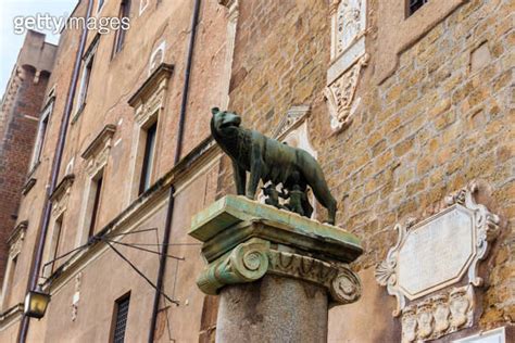 Capitoline Wolf Bronze Sculpture Of The Mythical She Wolf Suckling The