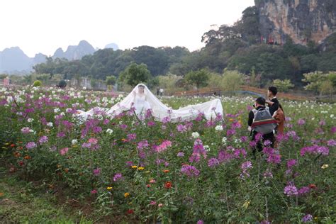 清远旅游，荷花塘中探寻四季花海，品尝喀斯特英西峰林醉景！ 英德旅游攻略 游记 去哪儿攻略