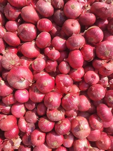 A Grade Maharashtra Fresh Indian Red Onion Gunny Bag Onion Size