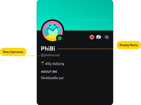 Discord Como Mudar Nome De Usu Rio E Apelido Positivo Do Seu Jeito