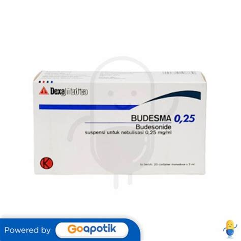 BUDESMA 0.25 MG/ML INHALER 2 ML BOX 20 CONTAINER MONODOSE - Kegunaan, Efek Samping, Dosis dan ...