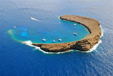 Snorkel Molokini Crater Maui Hawaii With Four Winds Ii