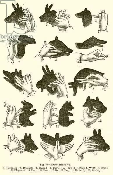 A2 Poster. Hand Shadows (engraving) | Hand shadows, Shadow, Shadow puppets