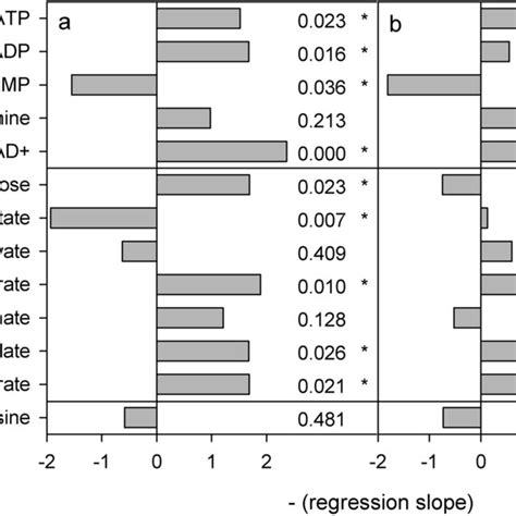 Results Of Linear Regressions On Transformed Metabolite Concentrations