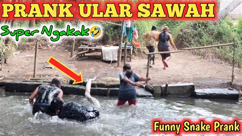 Prank Ular Sawah Super Ngakak Auto Kocar Kacir Funny Snake Prank