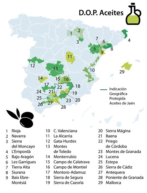 Aceite De Oliva Lo Mejor De La Dieta Mediterránea