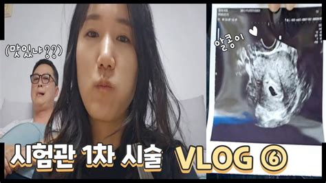 브이로그 시험관 시술과정 ⑥ 이식17일차~첫 초음파검사 Youtube