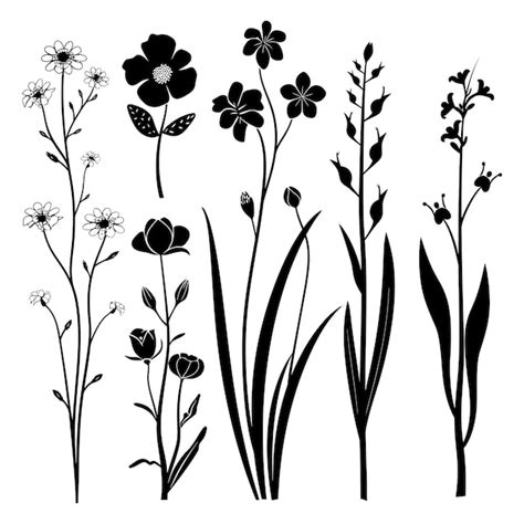 Premium Vector Silhouette Spring Flower Collection Black Color Only