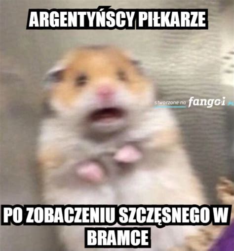 Najśmieszniejsze MEMY po meczu Polska Argentyna Internet nie śpi