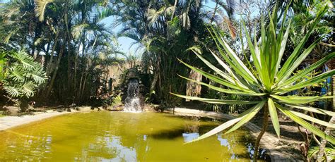 Parque Ecol Gico Ganha Obras De Melhorias Em Mongagu Di Rio Do Litoral