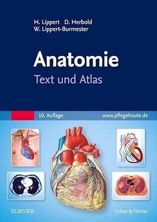 Amazon In Buy Anatomie Text Und Atlas Book Online At Low Prices In