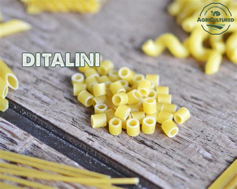 How To Use Different Types Of Pasta My Fearless Kitchen