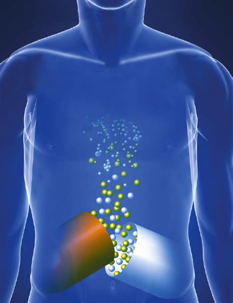 Determinantes De La Absorci N En Tracto Gastrointestinal