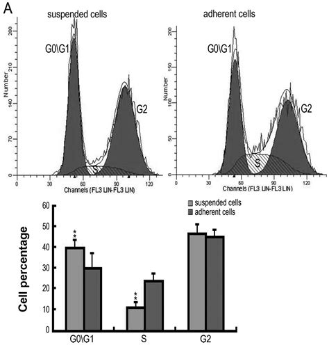 A New Approach To Screening Cancer Stem Cells From The U251 Human