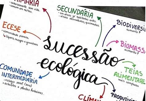 Mapa Mental Sobre FraÇÕes Study Maps Artofit