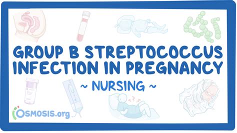 Streptococcus Group B