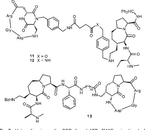 Figure From Synthesis And Biological Evaluation Of Dual Action Cyclo