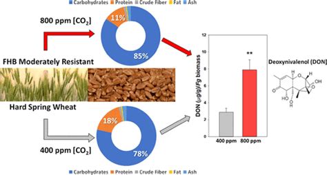 Co Journal Of Agricultural And