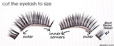 How To Wear Fake Eyelashes For Beginners Step By Step Tutorial Fake Eyelashes Applying Fake