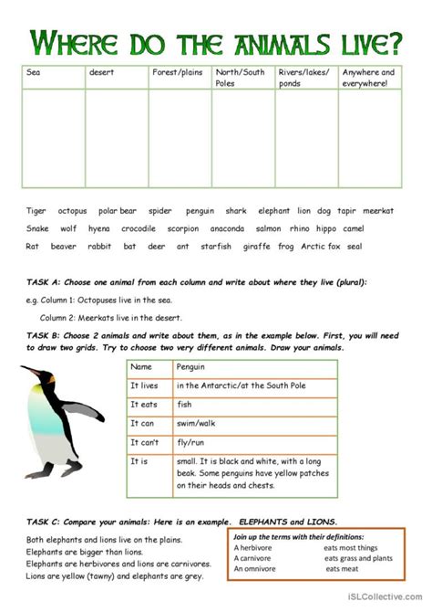 Where Do The Animals Live English Esl Worksheets Pdf And Doc