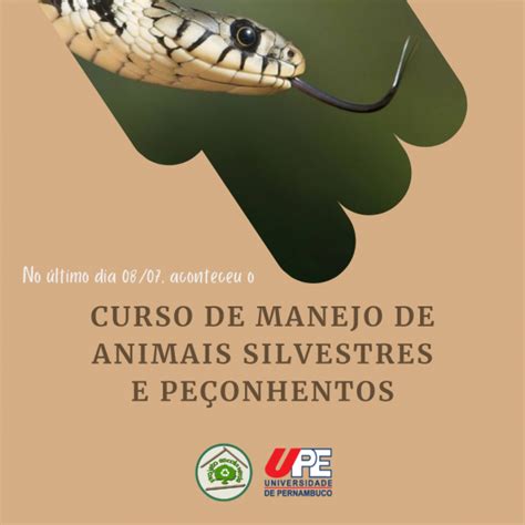 Curso Manejo De Animais Silvestres E Pe Onhentos Programa Escola Verde