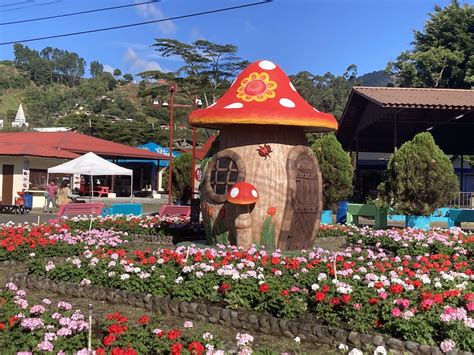 la feria  latest adventure