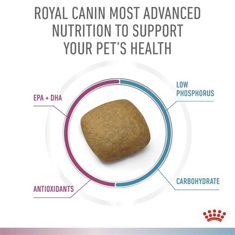 Vhn Cat Mf Renal Hypoallergenic Royal Canin Poland