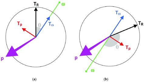 Principle Of The Two Torque Components The Torque Vectors T And The Download Scientific