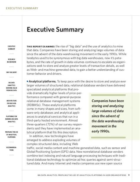 Executive Summary For Assignment Denzel Has Carey