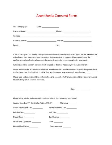 Anesthesia Consent Form