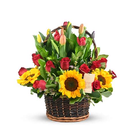 CANASTA DE ROSAS GIRASOLES Y TULIPANES Las Doñas Florería Online