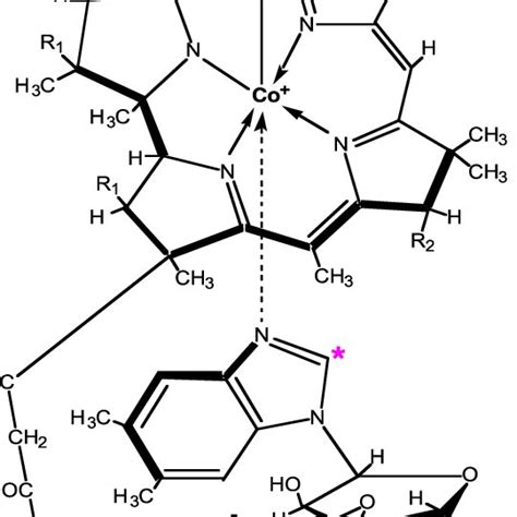 Chemical Structure Of Cyanocobalamin With The 14 C Location Indicated Download Scientific