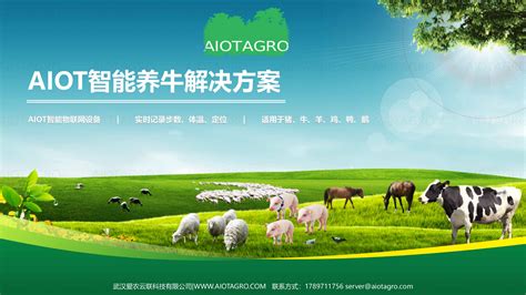 智慧养殖解决方案：畜牧业的全面升级aiotagro 爱农云联 致力于高效、安全的食品生产