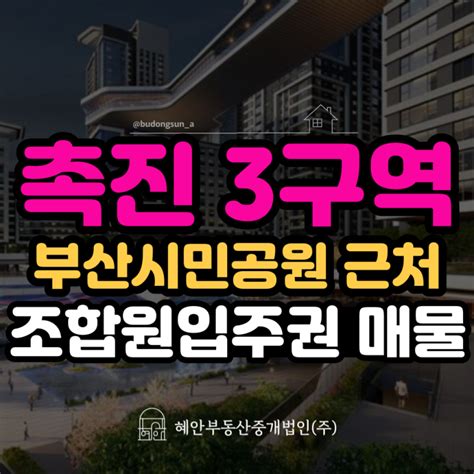 부산 내륙대장 촉진 3구역 재개발 시민공원 뷰 아크로라로체 조합원 입주권 매물 매매 네이버 블로그