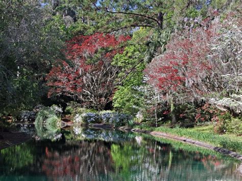 An Oasis Awaits In Florida’s Alfred B Maclay Gardens State Park Trips To Discover