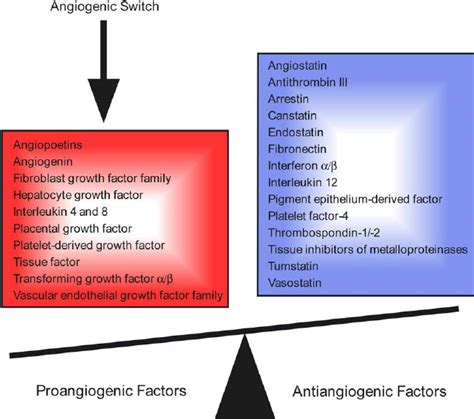 The Angiogenic Switch Represented As Imbalance Between Pro And