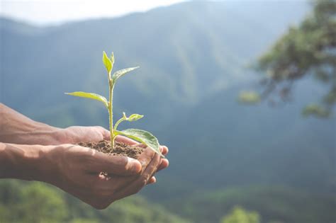 Restauración De Tierras Será Prioridad Para La Comunidad Internacional En La Recuperación Post