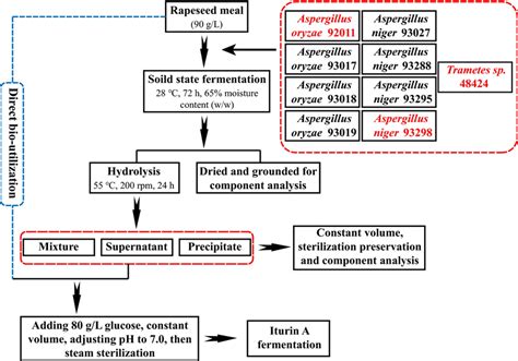 A Schematic Of The Overall Experimental Procedure An Initial Rsm