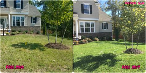 Before & After - Picture Perfect Lawn Maintenance